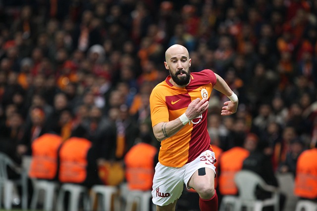 更为明显 更为明显