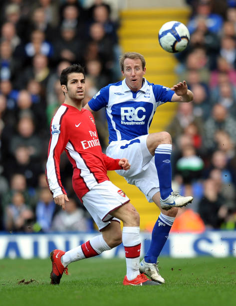 的体育场 的体育场